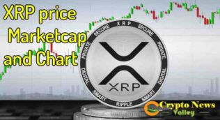 XRP price today, XRP to USD live, marketcap and chart